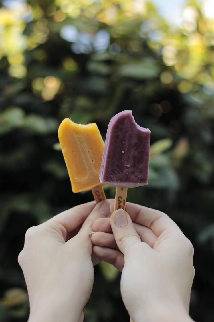 Blackberry and Mango Popsicles - Popsicle Recipe