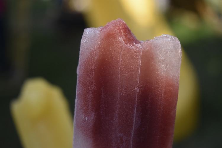 Popsicles Recipe - Mixed Berry Popsicles